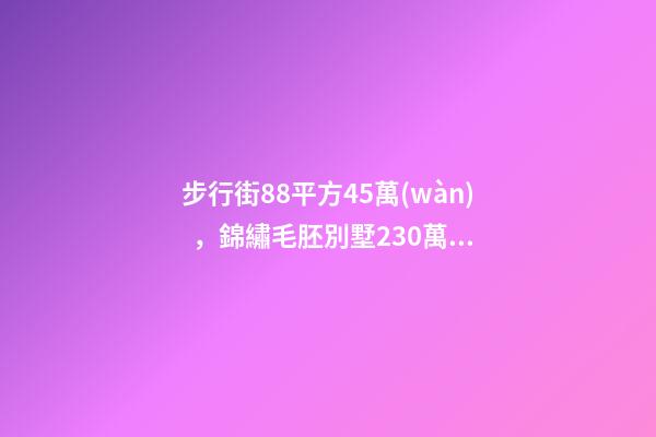 步行街88平方45萬(wàn)，錦繡毛胚別墅230萬(wàn)，城南自建房273平帶院165萬(wàn)